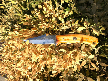 TC-59 carbon skinning knife with carbon steel blade and wooden grip Titan K on Tampa Home & Garden Store