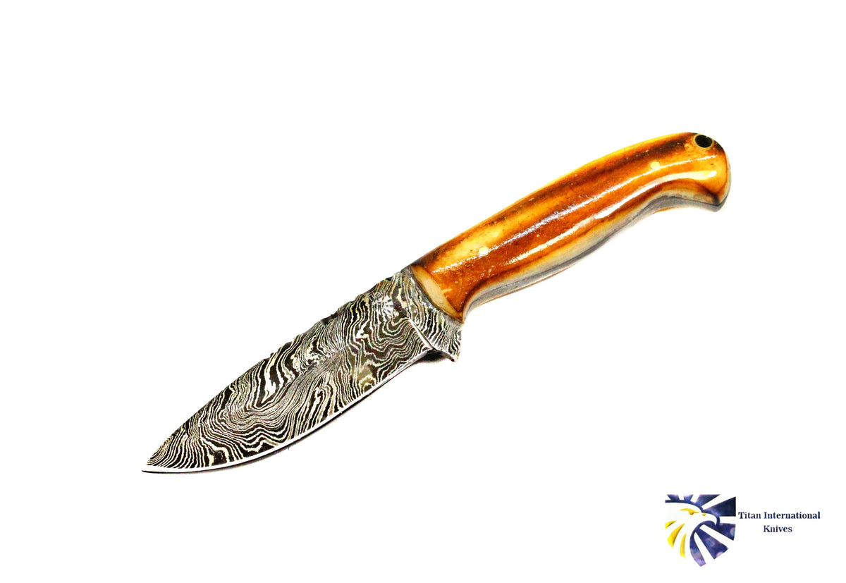 Damascus hunting knife with orange-brown horn handle and patterned blade Titan Knives on Tampa Home & Garden Store