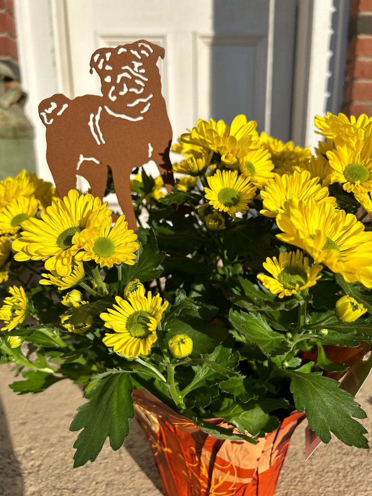 Pug plant stake brown metal silhouette with white cutouts among yellow mums Rustica Ornamentals on Tampa Home & Garden Store
