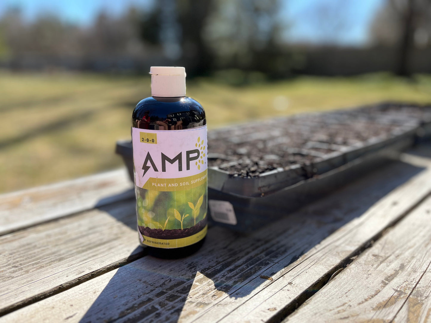 AMP Organic Biostimulant 8oz Bottle - harness the power of Algae. NEW!