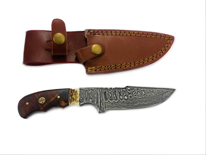 Damascus fixed-blade knife with walnut and stag horn handle, brown leather sheath on Tampa Home & Garden Store