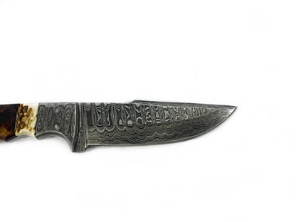 Damascus steel fixed blade knife TD-159 with walnut and stag horn handle by Titan International K on Tampa Home & Garden Store