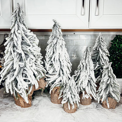 Snow Covered Trees OG