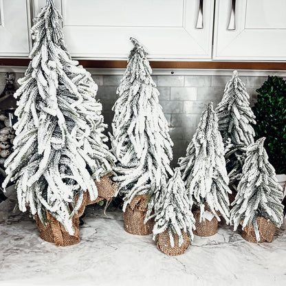 Snow Covered Trees OG