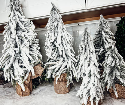 Snow Covered Trees OG