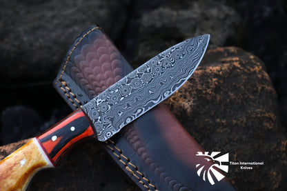Custom Titan Spade Damascus steel hunting knife with patterned blade and logo visible on Tampa Home & Garden Store