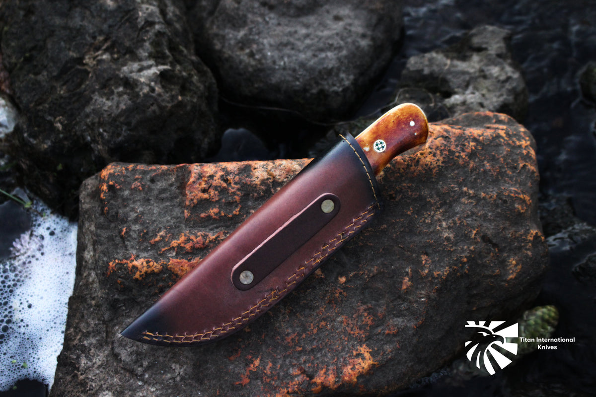Custom Titan Spade Damascus hunting knife with brown wood handle in leather sheath Titan logo visible on Tampa Home & Garden Store