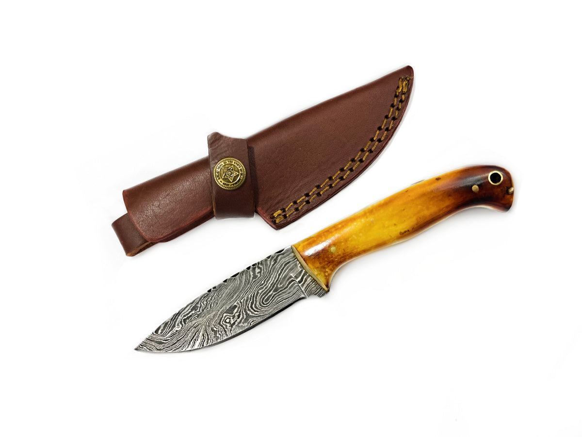Damascus Hunting Knife with wood handle in brown leather sheath with brass emblem Titan TD-204 on Tampa Home & Garden Store
