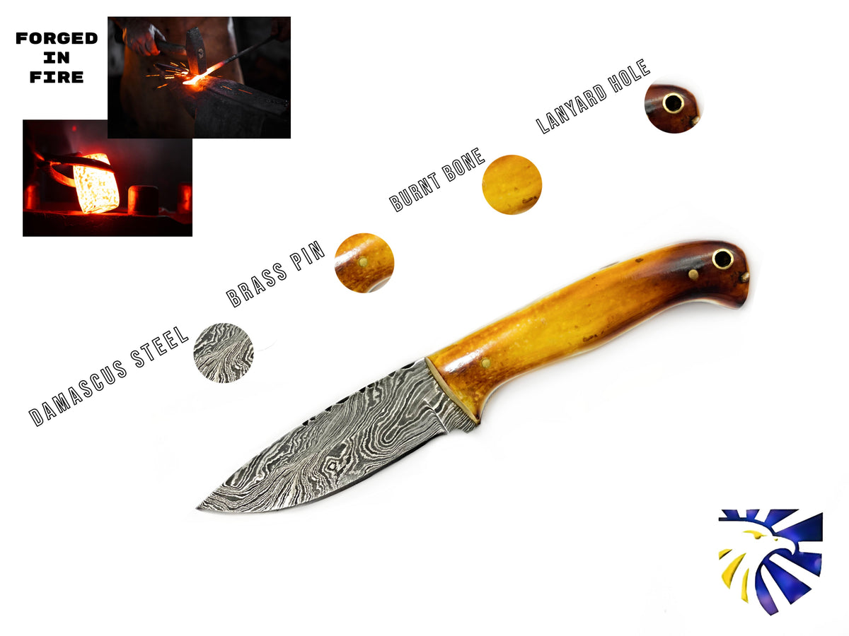 Damascus hunting knife TD-204 by Titan with marbled blade and bone handle lanyard hole on Tampa Home & Garden Store