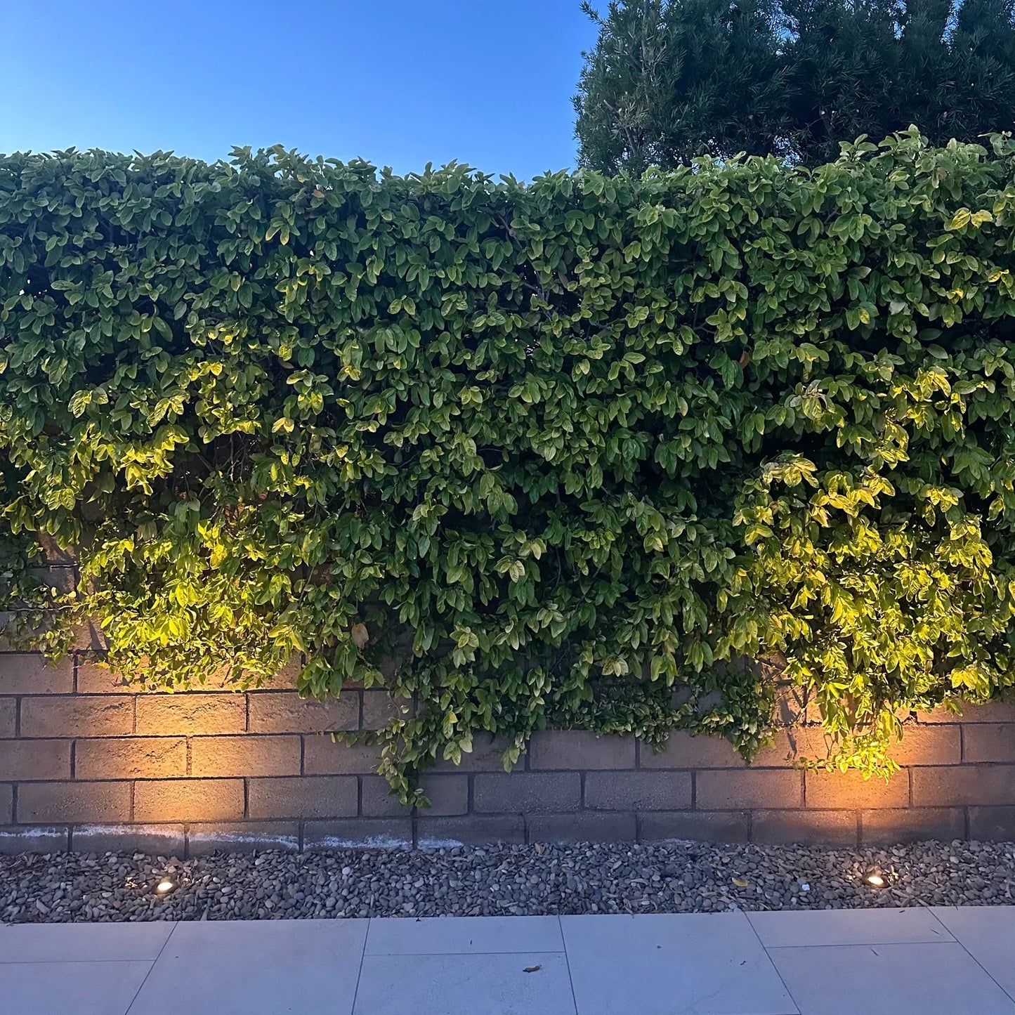 Lámpara de pozo enterrada de latón fundido negro Stelvio Iluminación paisajística de bajo voltaje