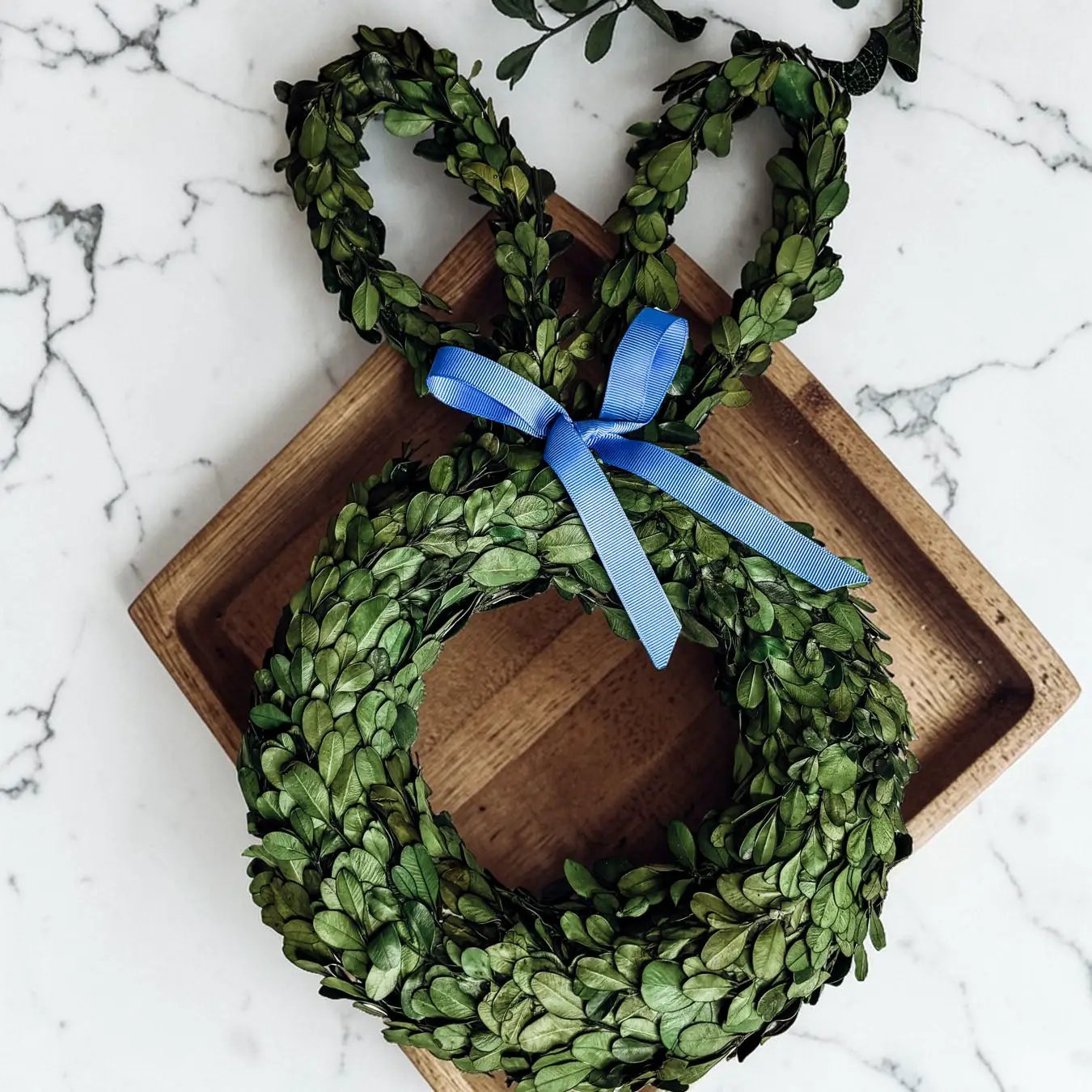 Bunny Wreath Boxwood with Blue Bow for Door Decor