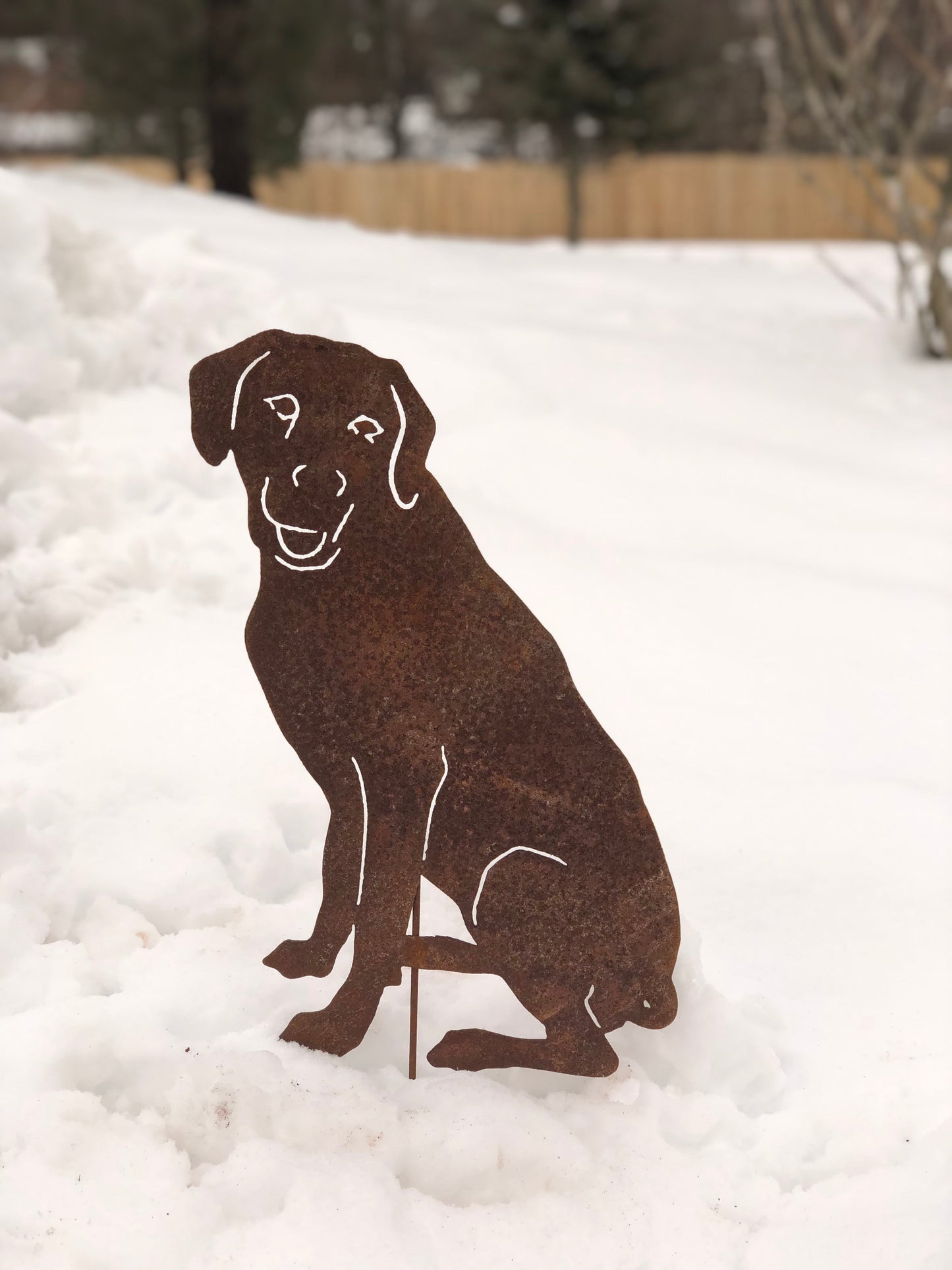 Rhodesian Ridgeback garden stake silhouette in rust metal with white line details on Tampa Home & Garden Store