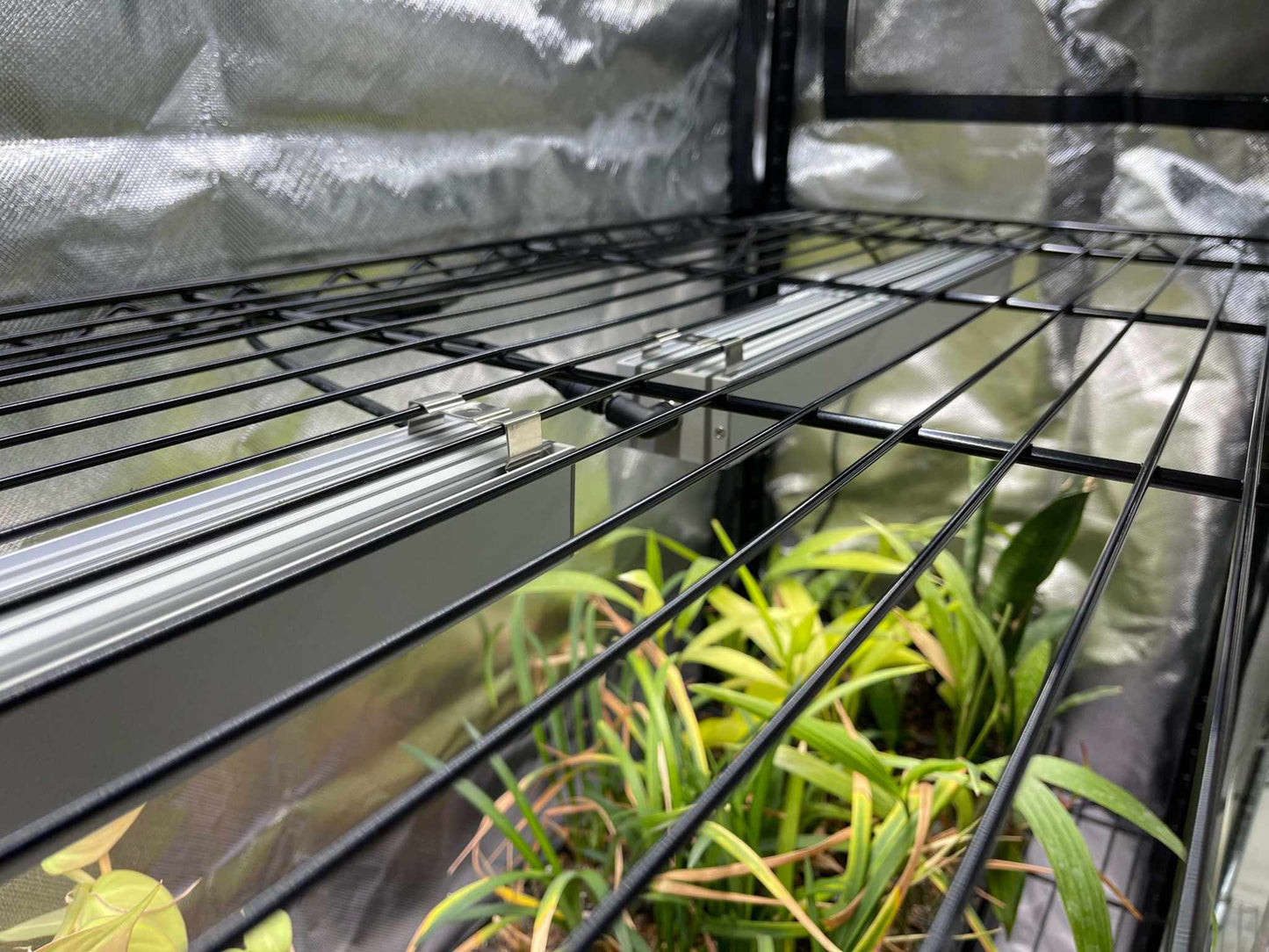 Baker's Rack Grow Tent Cover 48x18x72 Thrive Ecosystems with clear front door and vent on Tampa Home & Garden Store