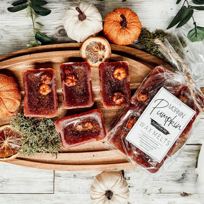 Pumpkin Buttercream Wax Melts Cinnamon Pie Gia Roma fall wax tarts in blocks pumpkins on Tampa Home & Garden Store