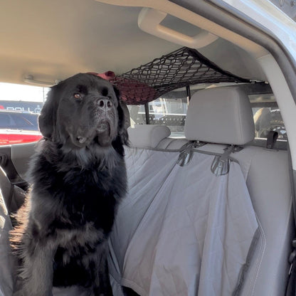 Toyota Tacoma Attic Storage Net by Flatirons Overland, black overhead vehicle cargo net on Tampa Home & Garden Store