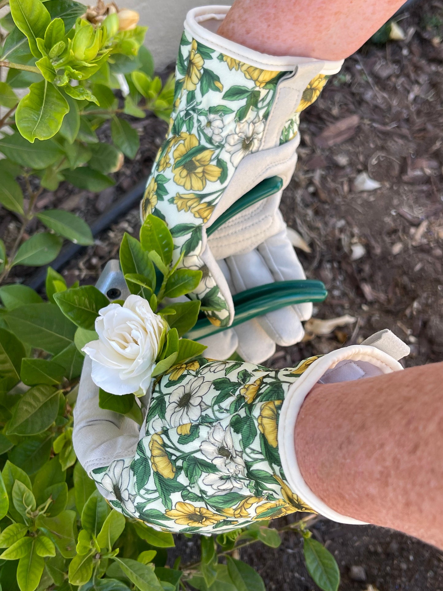 Caja de regalo para jardín: guantes y tijeras