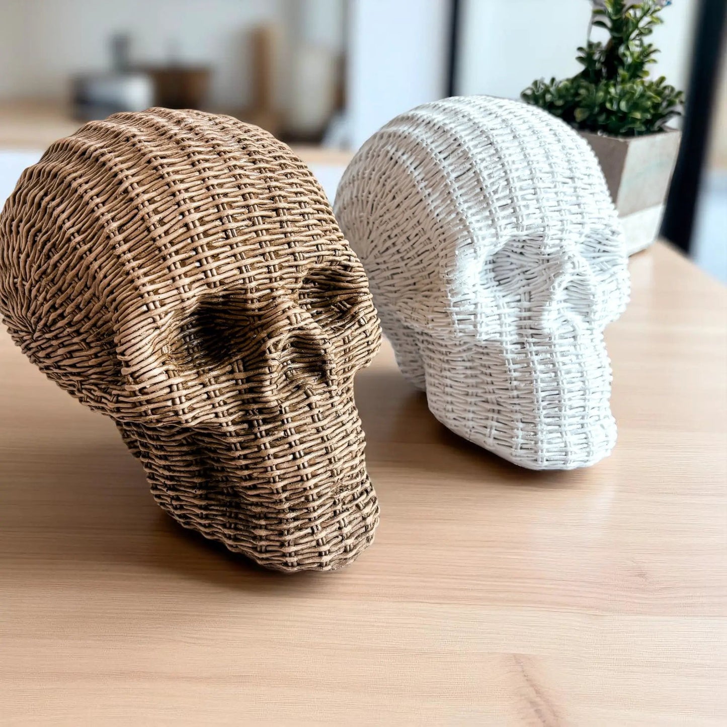 Craneo yo