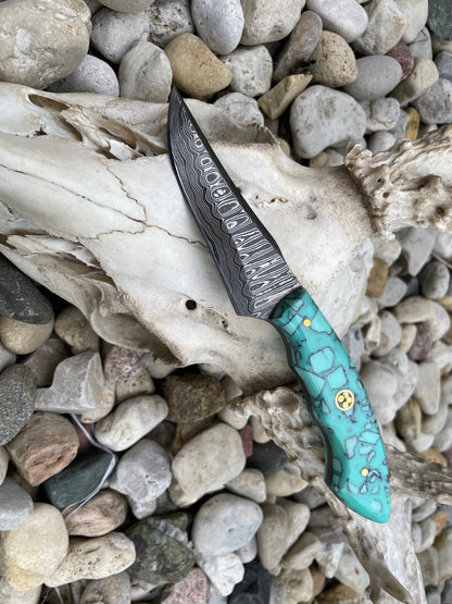 Arrival TD-706 knife with Damascus blade and turquoise mosaic handle on rocky beach stones on Tampa Home & Garden Store