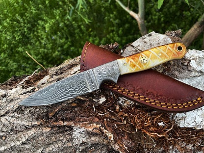 Drop point Damascus knife TD-102 by Titan International K with amber bone handle on Tampa Home & Garden Store