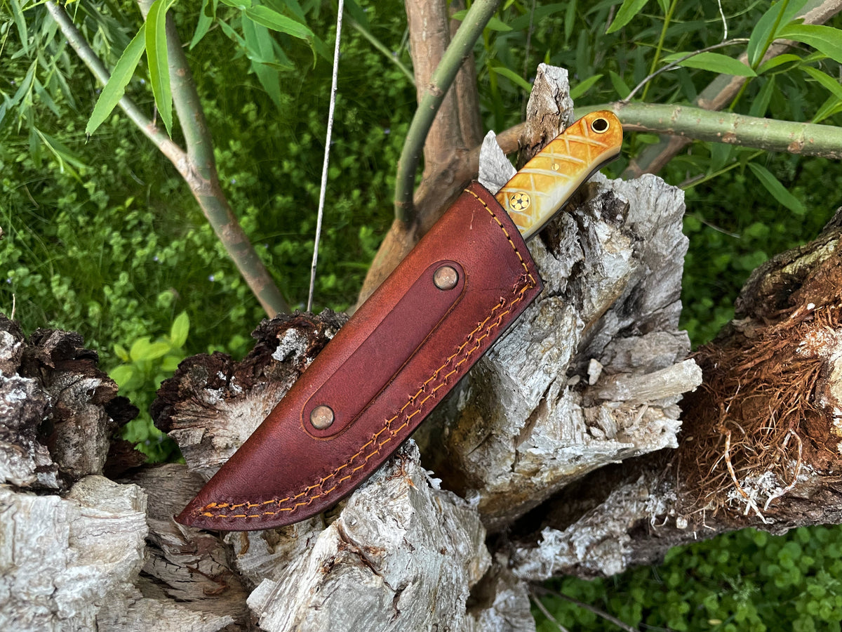 TD-102 Damascus drop point knife by Titan International K amber handle leather sheath on Tampa Home & Garden Store
