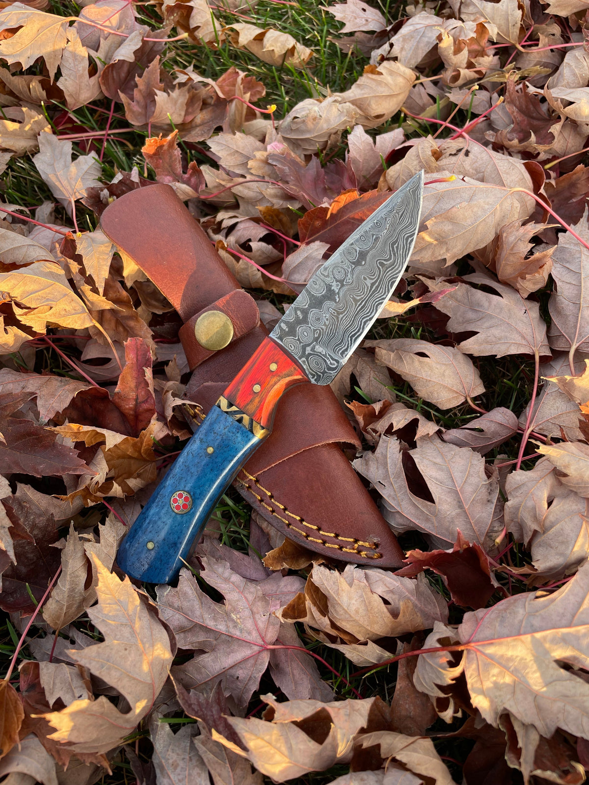 Aurora Blade TK-212 by Titan Damascus steel knife with blue handle and brown leather sheath on Tampa Home & Garden Store