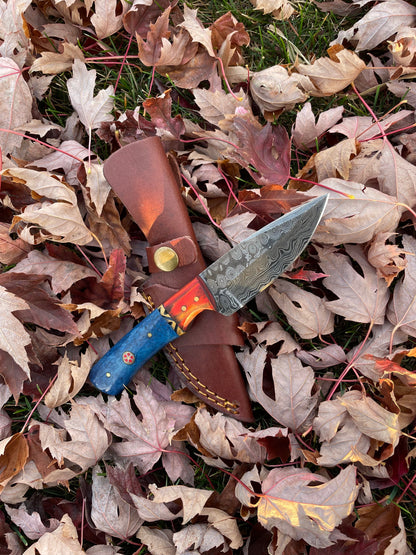 Aurora Blade TK-212 Damascus knife by Titan blue handle blade brown leather sheath on Tampa Home & Garden Store