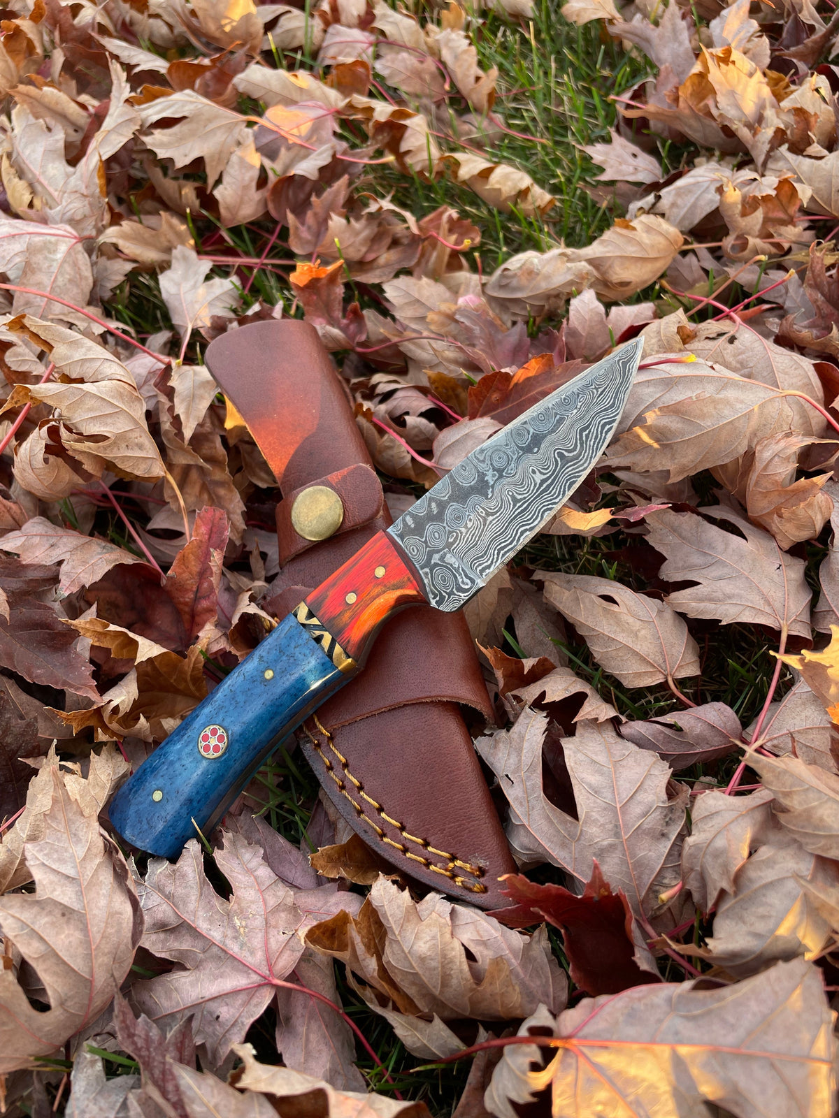 Aurora Blade TK-212 damascus steel knife by Titan with blue handle and brown leather sheath on Tampa Home & Garden Store