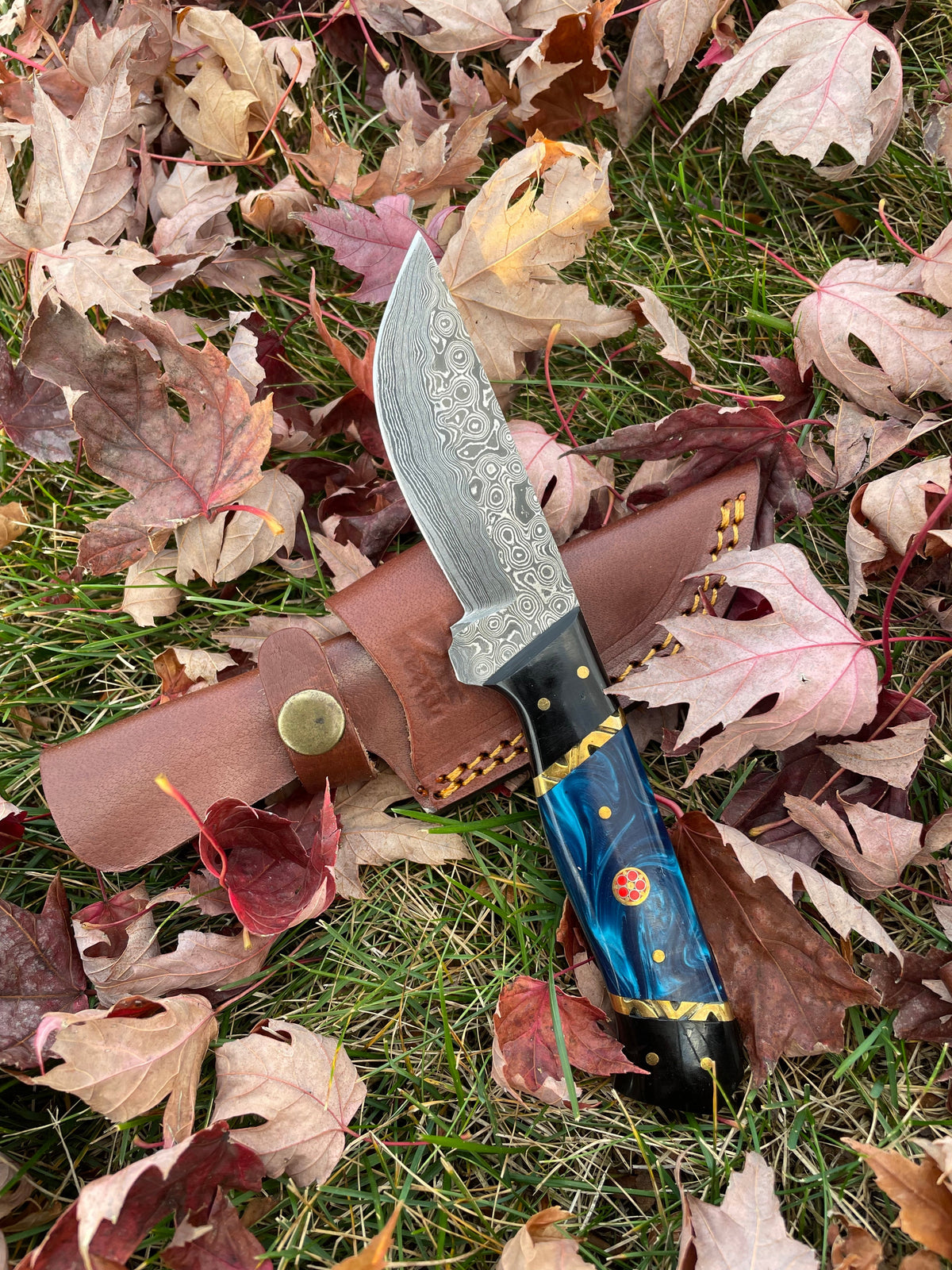 Blue Phantom TK-213 Damascus steel knife with blue handle Titan International K sheath on Tampa Home & Garden Store