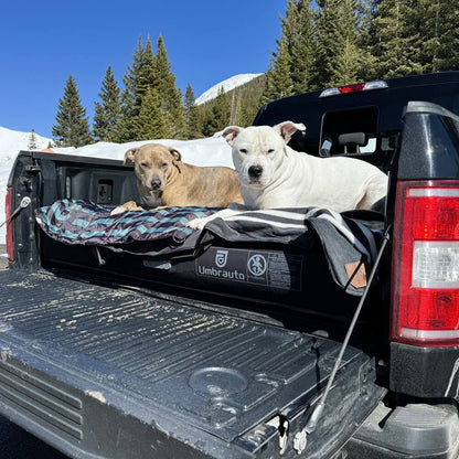 Umbrauto truck bed air mattress in black with built-in pump; two dogs on bed on Tampa Home & Garden Store