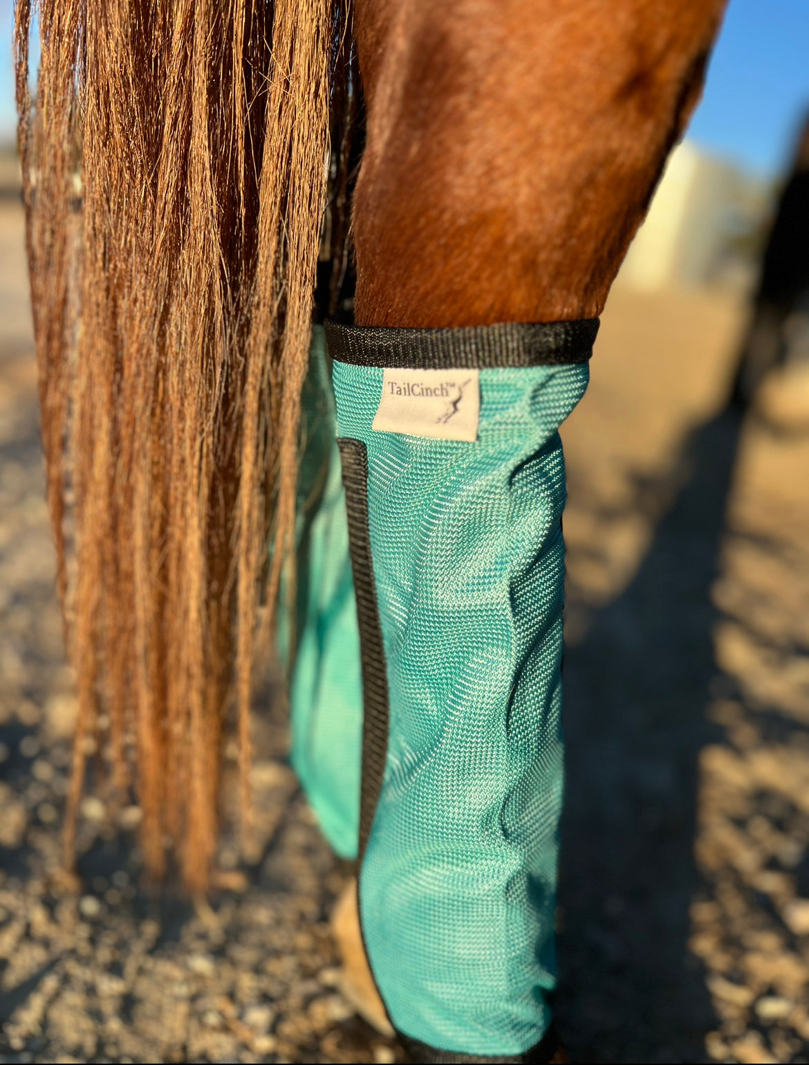 Horse Bye Bye Flyboots | Equine Fly Boots