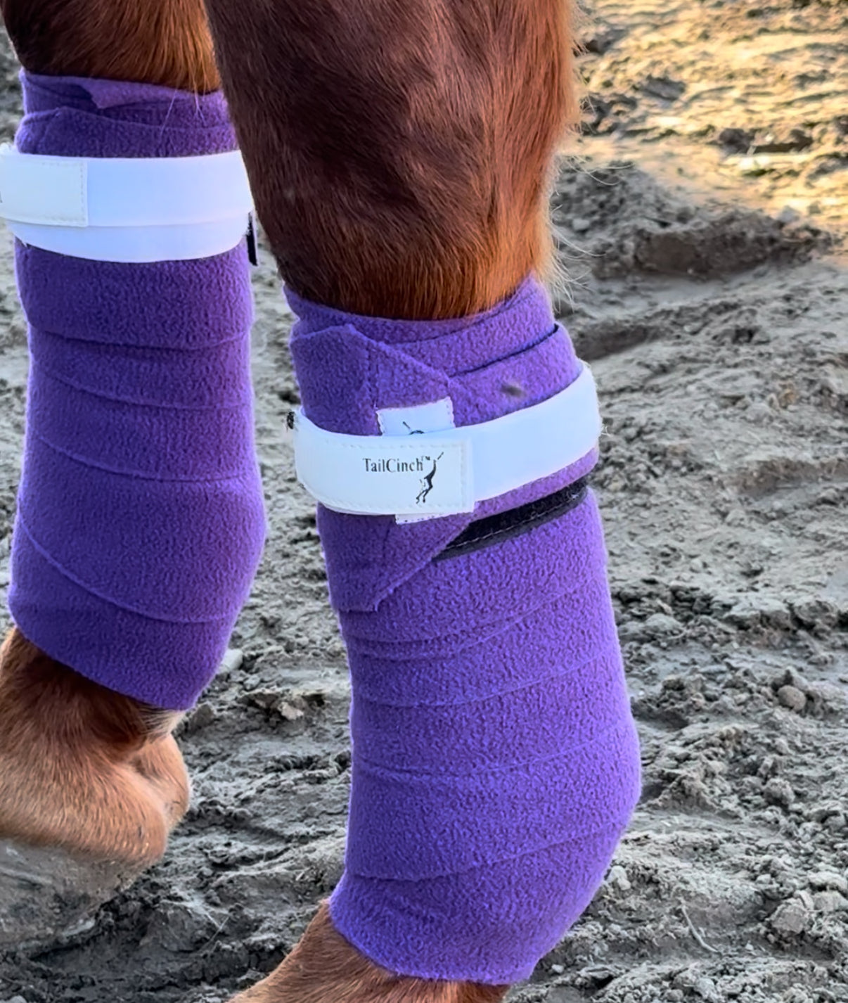 Purple fleece PoloCinch Polo Wrap Guards pair with white TailCinch Velcro strap on horse legs on Tampa Home & Garden Store