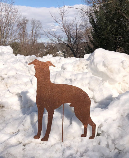 Italian Greyhound lawn statue rust metal silhouette by Rustica Ornamentals on Tampa Home & Garden Store