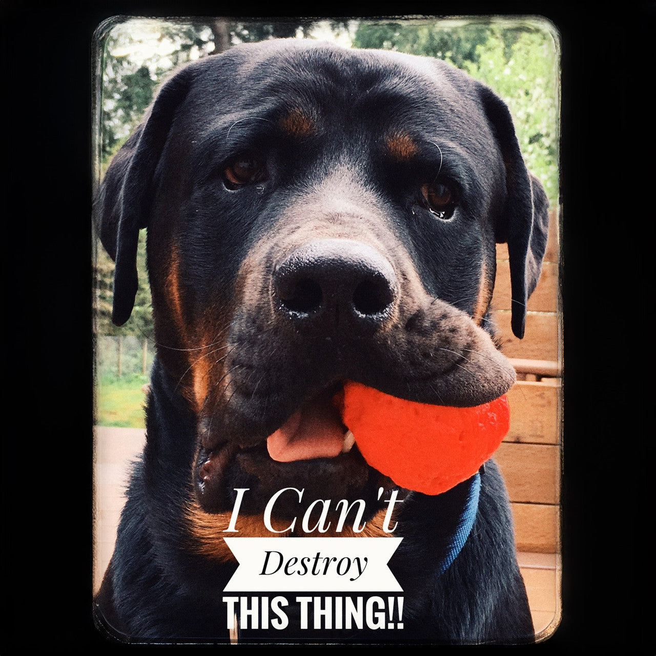 WUNDERball Fetch Toy Natural Rubber Ball For Dogs