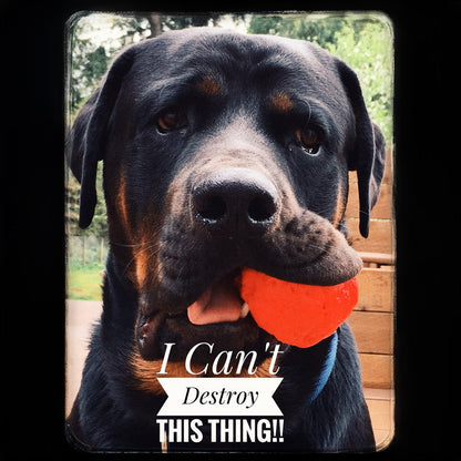 WUNDERball Fetch Toy Natural Rubber Ball For Dogs