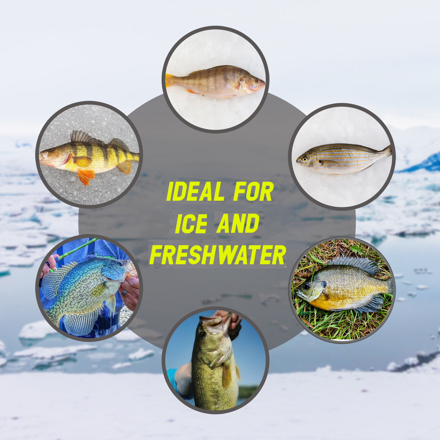Jigs para pesca en hielo Reaction Tackle