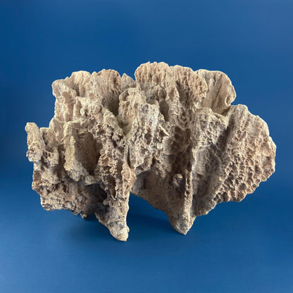 Imitation Coral Sculpture for Coastal Themed Home Rock Garden Aquarium. Vacation Property Tropical Display. Gift for Dad, Fisherman. - Tampa Home & Garden Store