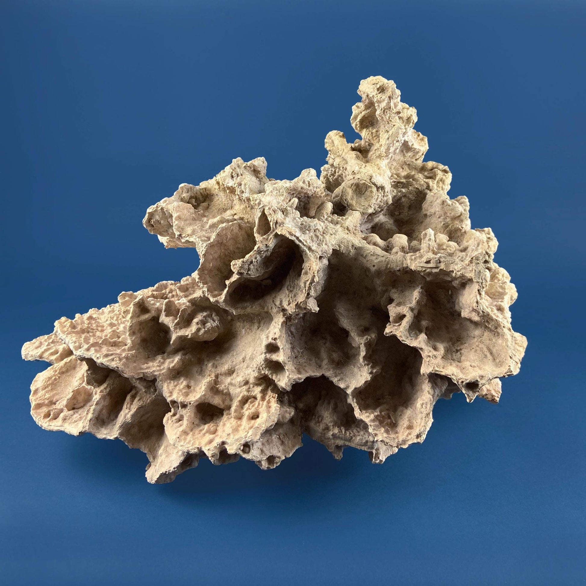Imitation Coral Sculpture for Coastal Themed Home Rock Garden Aquarium. Vacation Property Tropical Display. Gift for Dad, Fisherman. - Tampa Home & Garden Store