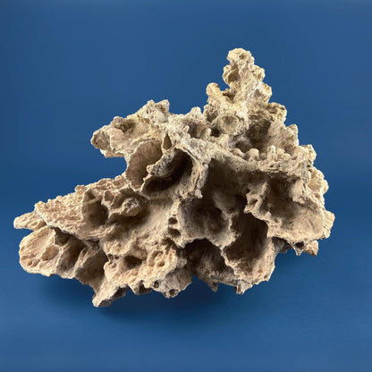 Imitation Coral Sculpture for Coastal Themed Home Rock Garden Aquarium. Vacation Property Tropical Display. Gift for Dad, Fisherman. - Tampa Home & Garden Store