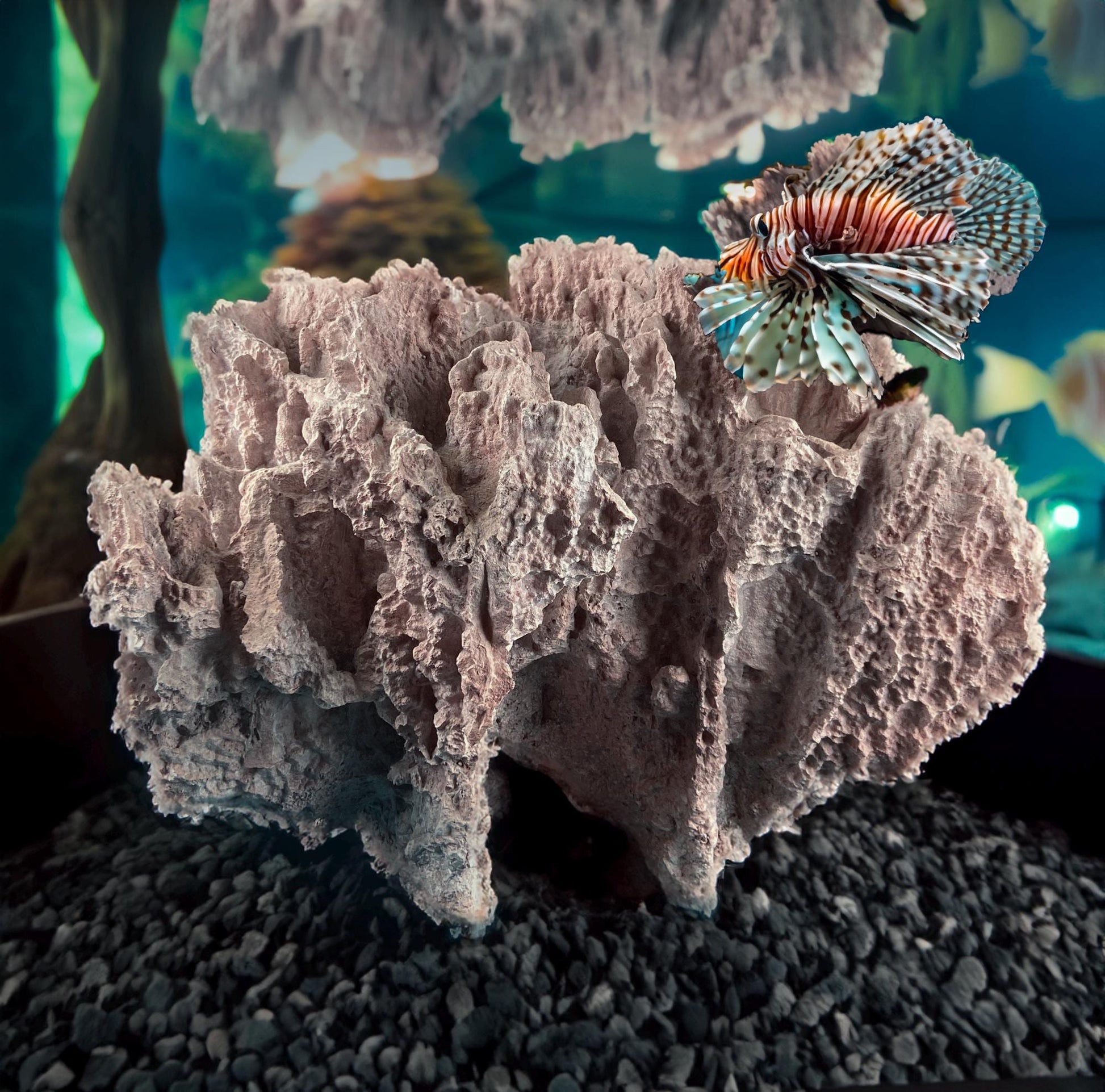 Imitation Coral Sculpture for Coastal Themed Home Rock Garden Aquarium. Vacation Property Tropical Display. Gift for Dad, Fisherman. - Tampa Home & Garden Store