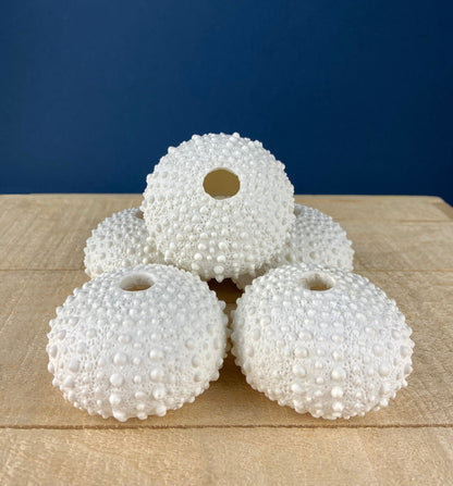 Imitation Coral Sculpture for Coastal Themed Home Rock Garden Aquarium. Vacation Property Tropical Display. Gift for Dad, Fisherman. - Tampa Home & Garden Store