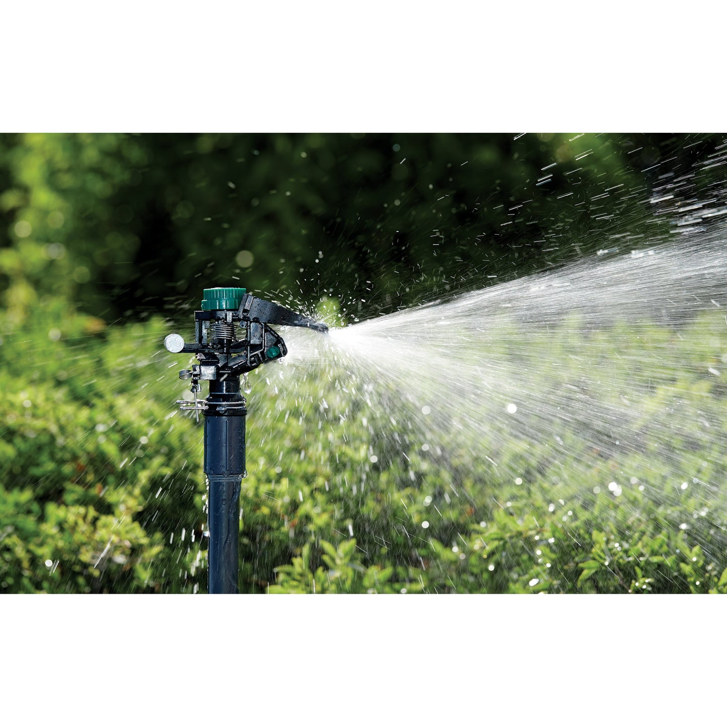 Orbit 1/2-in MPT impact sprinkler head with black body and green knob spraying water on Tampa Home & Garden Store