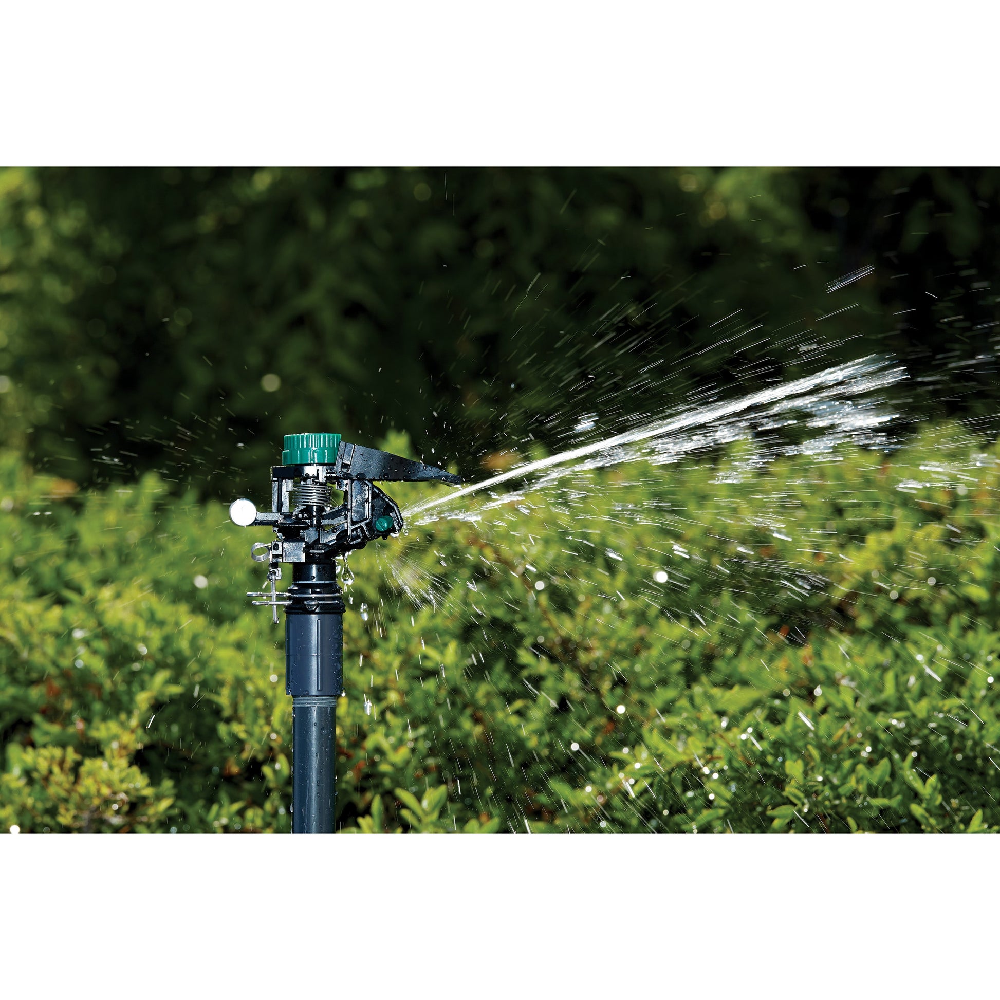 1/2-in MPT impact sprinkler head Orbit Irrigation with weighted arm, black body, green cap on Tampa Home & Garden Store