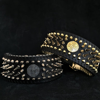 ''Imperium'' hand stitched 8 cm wide show collar - Tampa Home & Garden Store