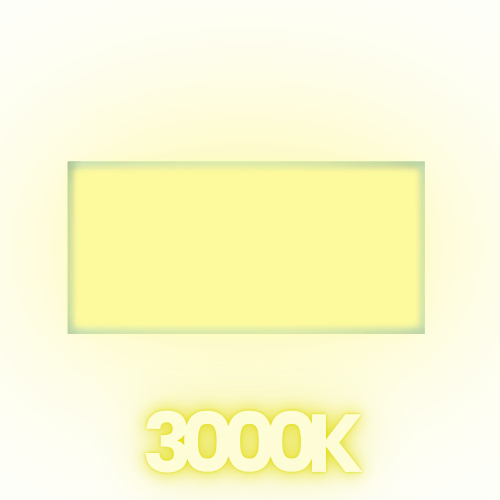 In Ground Paver Light Rectangle CRG31 | Low Voltage LED RGBW - Tampa Home & Garden Store