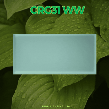 In Ground Paver Light Rectangle CRG31 | Low Voltage LED RGBW - Tampa Home & Garden Store