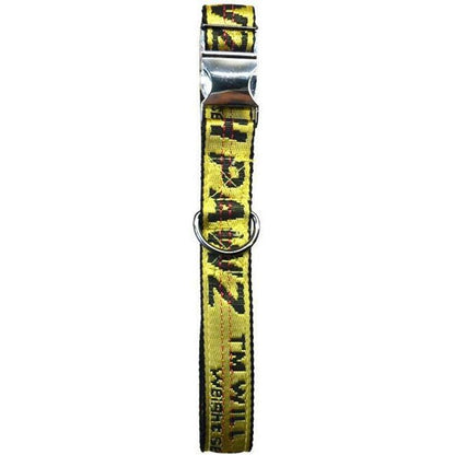 Industrial Belt | Collar - Tampa Home & Garden Store