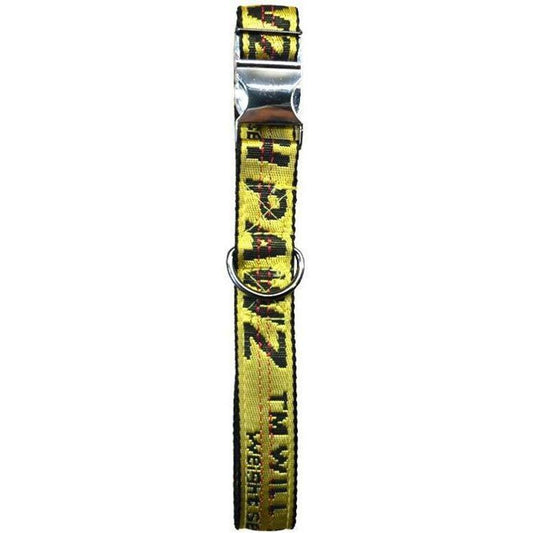 Industrial Belt | Collar - Tampa Home & Garden Store