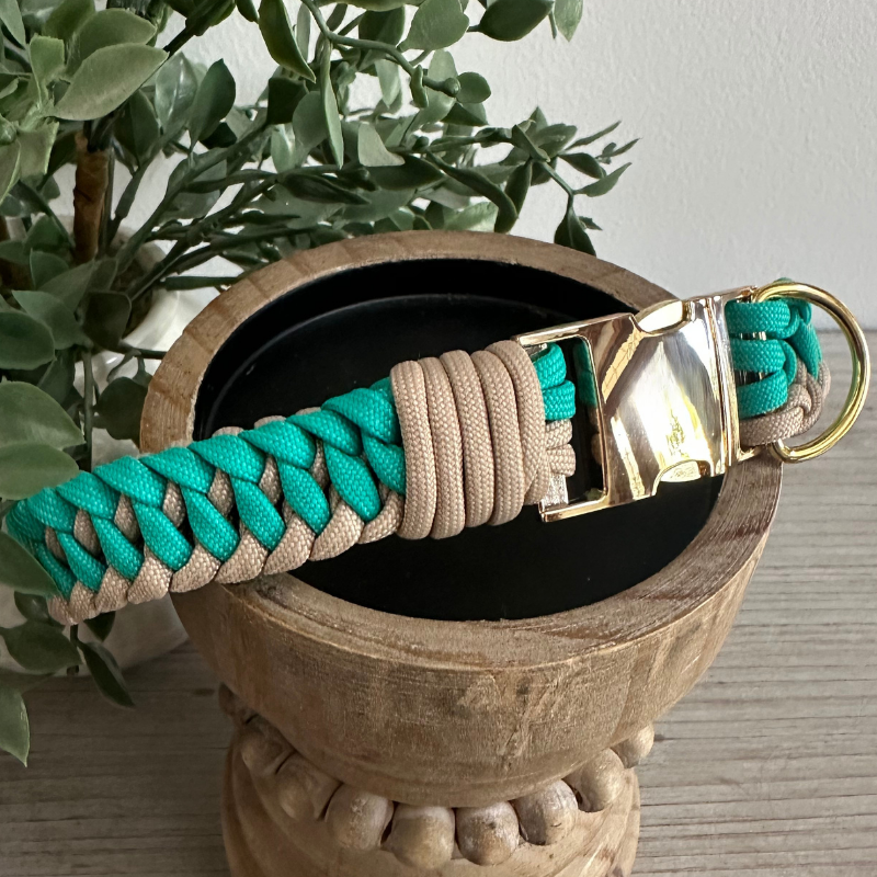 Infinity Braid in Teal & Light Tan - Handmade Dog Collar - Tampa Home & Garden Store
