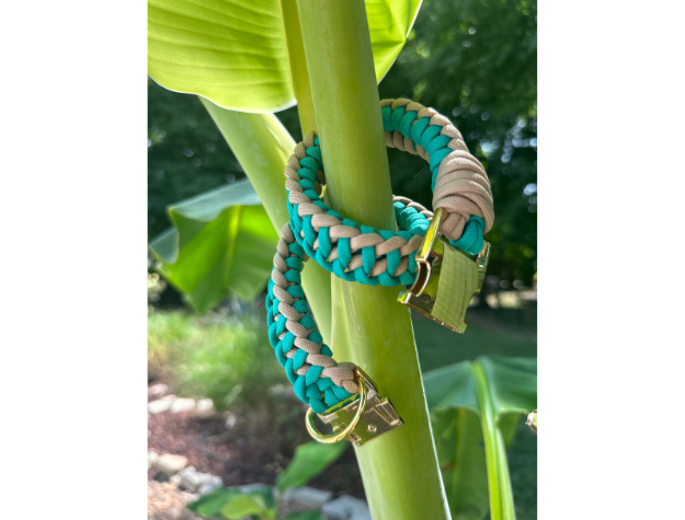 Infinity Braid in Teal & Light Tan - Handmade Dog Collar - Tampa Home & Garden Store