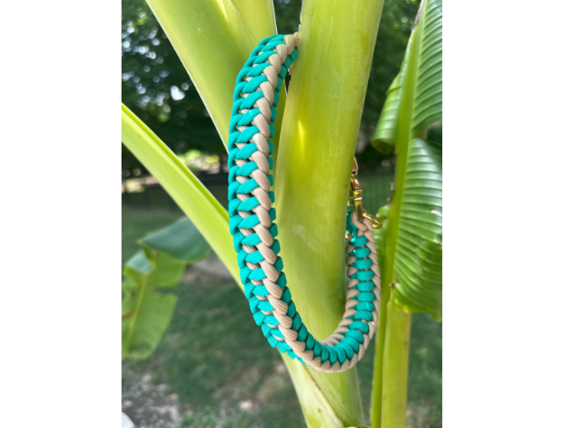 Infinity Braid in Teal & Light Tan - Handmade Dog Collar - Tampa Home & Garden Store